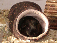 Nisha in der Kuschelrolle