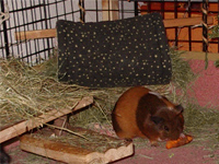 Kuschelrolle als Hängematte