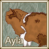 Ayla