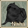 Nisha