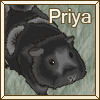 Priya