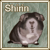 Shirin